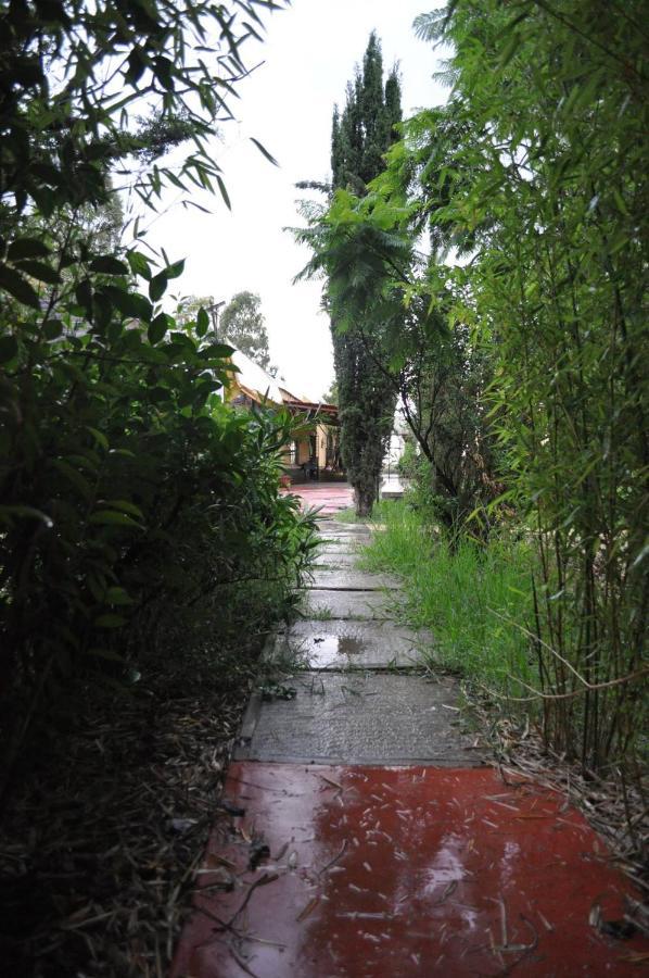 Posada Morelos ซากาเตกัส ภายนอก รูปภาพ